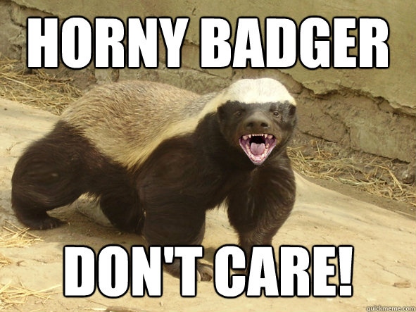 Horny Badger Don't care! - Horny Badger Don't care!  Honey badger hatin