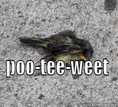  POO-TEE-WEET Misc