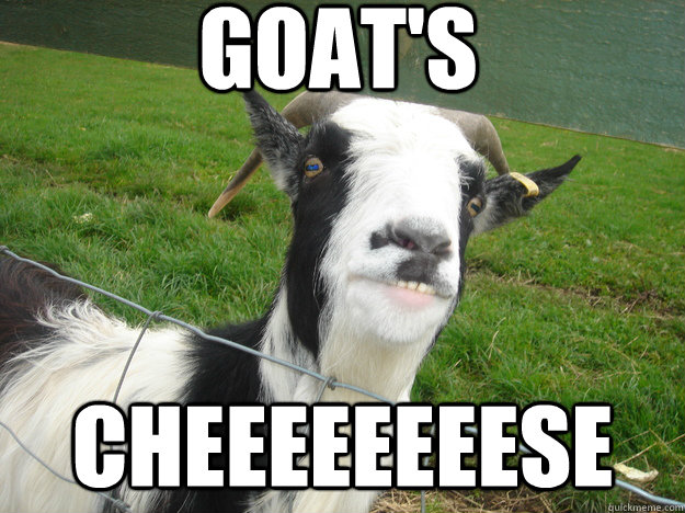 goat's cheeeeeeeese - goat's cheeeeeeeese  awkward smile goat