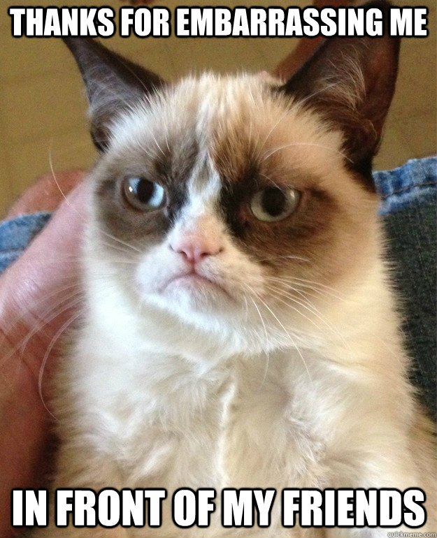 thanks for embarrassing me in front of my friends - thanks for embarrassing me in front of my friends  Grumpy Cat