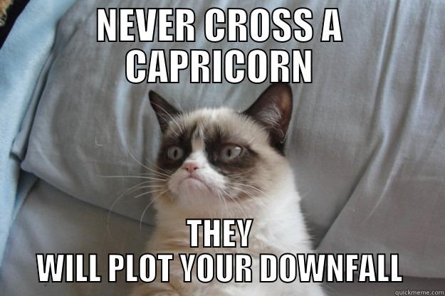 NEVER CROSS A CAPRICORN THEY WILL PLOT YOUR DOWNFALL Grumpy Cat