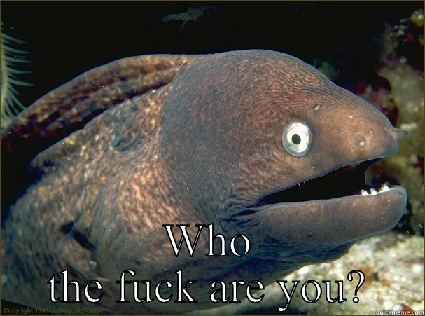 I asked you first  -  WHO THE FUCK ARE YOU? Bad Joke Eel
