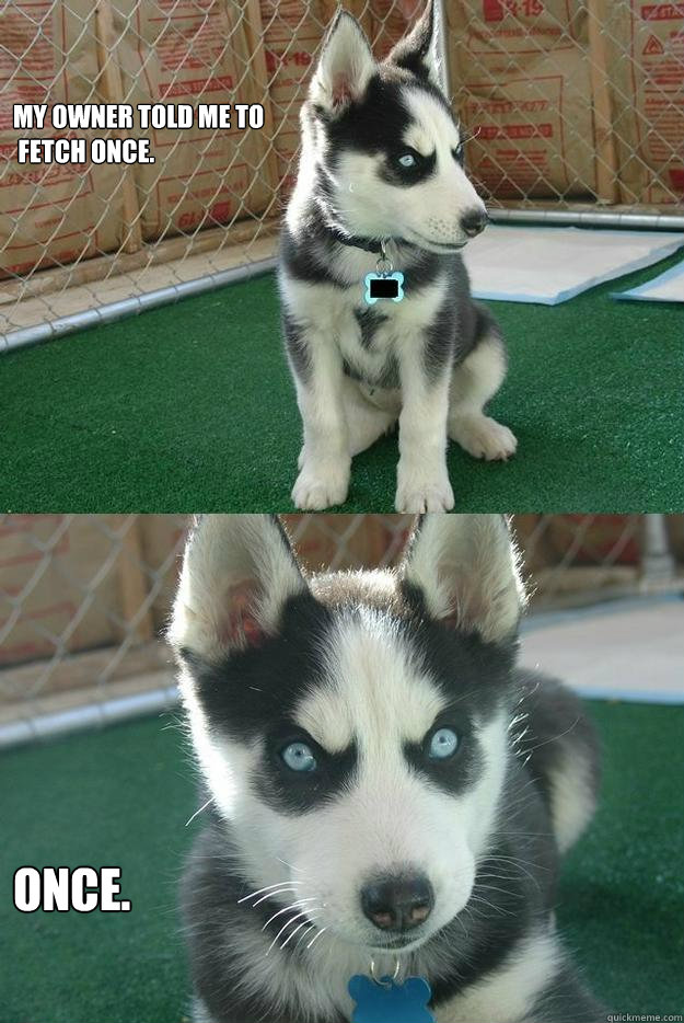 my owner told me to
 fetch once. once.  Insanity puppy