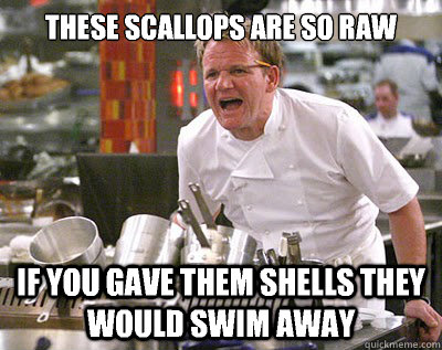 these scallops are so raw If you gave them shells they would swim away - these scallops are so raw If you gave them shells they would swim away  Chef Ramsay