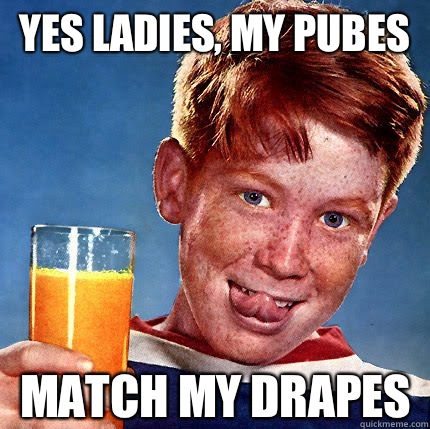 Yes ladies, my pubes Match my drapes - Yes ladies, my pubes Match my drapes  Perverse Ginger