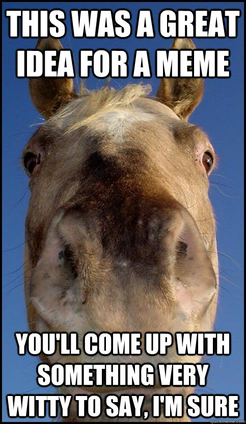 This was a great idea for a meme you'll come up with something very witty to say, I'm sure - This was a great idea for a meme you'll come up with something very witty to say, I'm sure  Emotional Support Pony