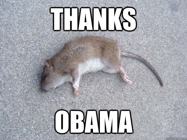 Thanks Obama  