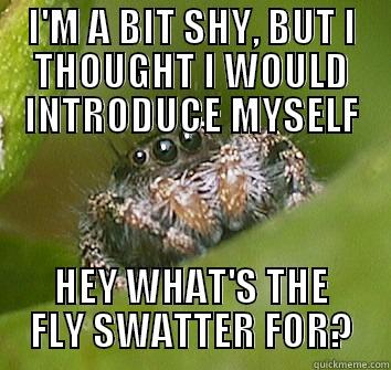 I'M A BIT SHY, BUT I THOUGHT I WOULD INTRODUCE MYSELF HEY WHAT'S THE FLY SWATTER FOR? Misunderstood Spider
