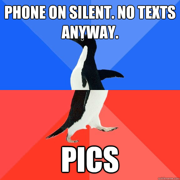 Phone on silent. No texts anyway. Pics - Phone on silent. No texts anyway. Pics  Socially Awkward Awesome Penguin