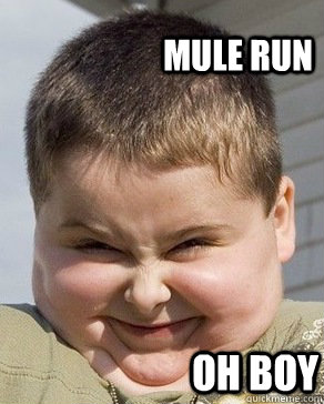 Mule Run oh boy - Mule Run oh boy  Fat kid oh boy
