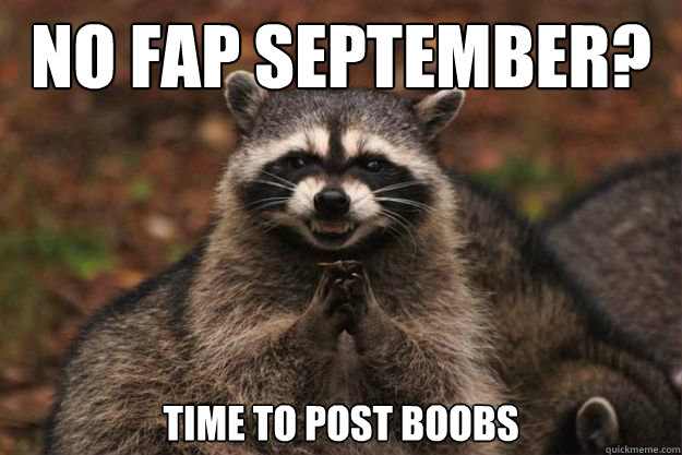 No Fap September? Time to post boobs  Evil genius racoon