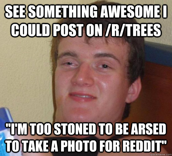 SEE SOMETHING AWESOME i COULD POST ON /R/TREES 
