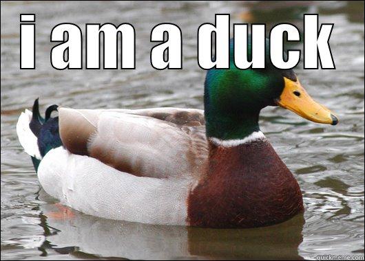 I AM A DUCK  Actual Advice Mallard