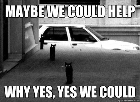 Maybe we could help why yes, yes we could  Stalker cats