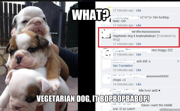 What? Vegetarian dog, it bopbopbabop!  Vegetarian Dog