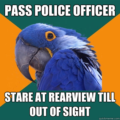 pass police officer stare at rearview till out of sight  Paranoid Parrot