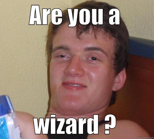 ARE YOU A WIZARD ? 10 Guy