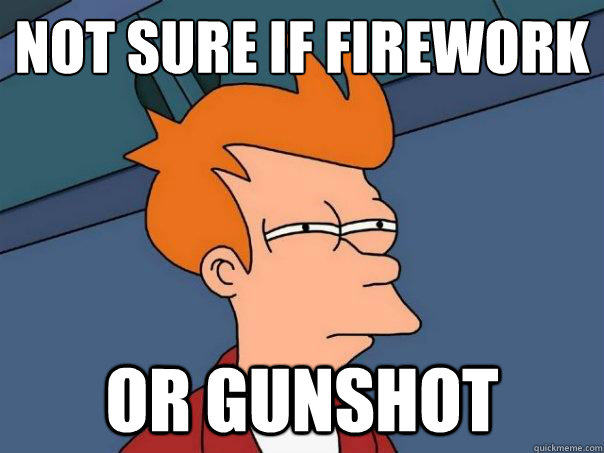 Not sure if firework
 Or gunshot  Futurama Fry