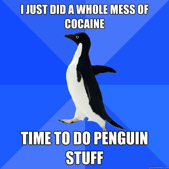 I just did a whole mess of cocaine time to do penguin stuff  Socially Awkward Penguin