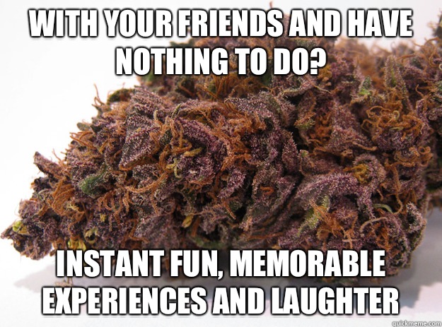 With your friends and have nothing to do? Instant fun, memorable experiences and laughter  - With your friends and have nothing to do? Instant fun, memorable experiences and laughter   Good Guy Marijuana