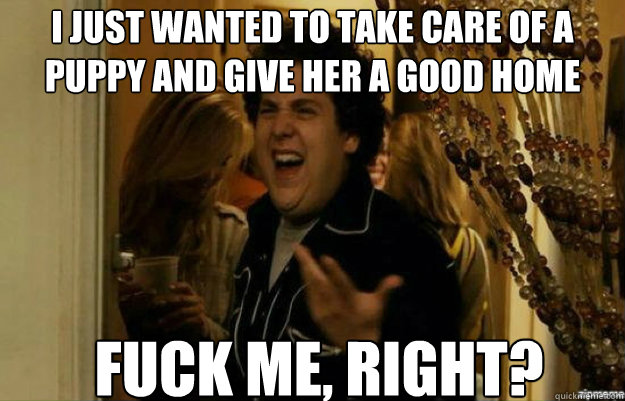 I just wanted to take care of a puppy and give her a good home FUCK ME, RIGHT?  fuck me right