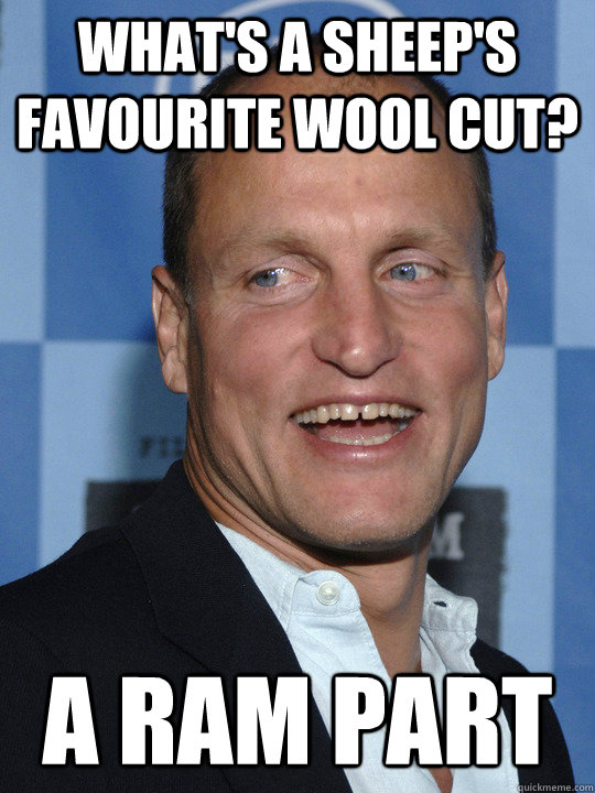 what's a sheep's favourite wool cut? A ram part  Woody