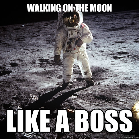 Walking on the moon  like a boss  Buzz Aldrin