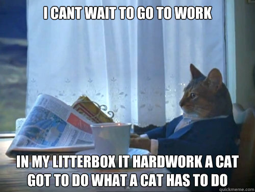 I cant wait to go to work in my litterbox it hardwork a cat got to do what a cat has to do  The One Percent Cat