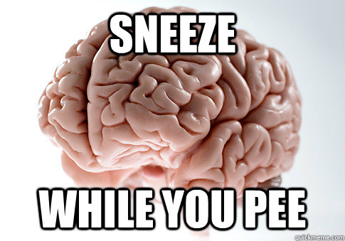 sneeze while you pee  Scumbag Brain