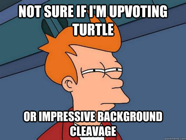 Not sure if i'm upvoting turtle Or impressive background cleavage  Futurama Fry
