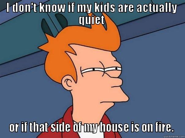 I DON'T KNOW IF MY KIDS ARE ACTUALLY QUIET OR IF THAT SIDE OF MY HOUSE IS ON FIRE. Futurama Fry