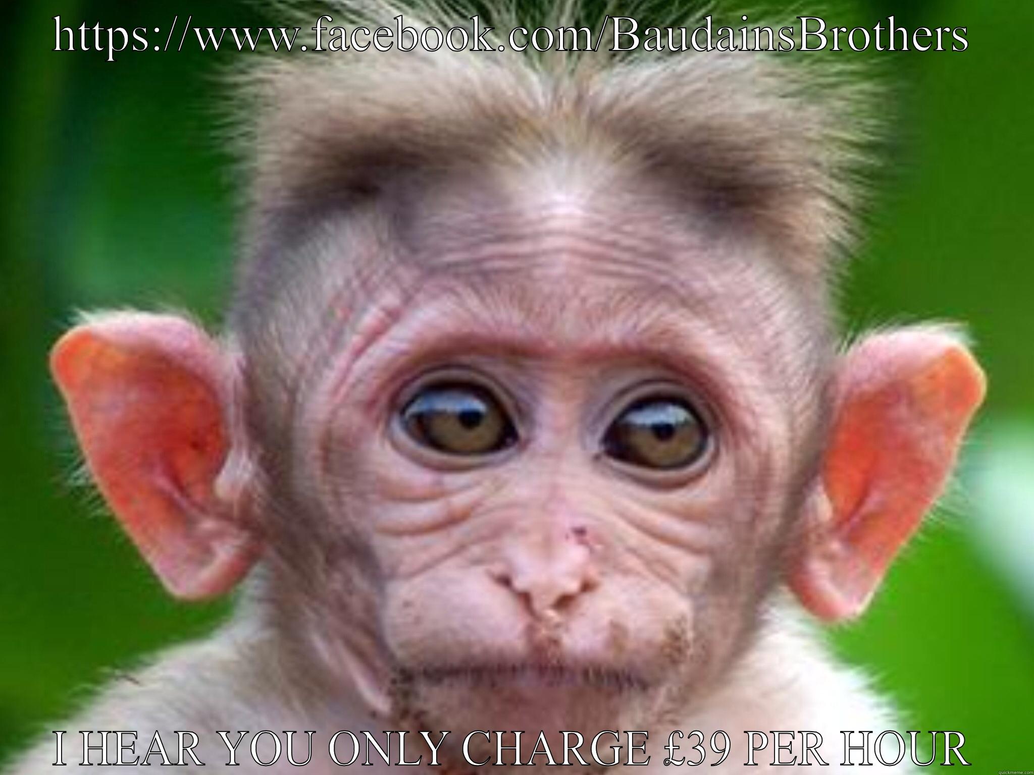 HTTPS://WWW.FACEBOOK.COM/BAUDAINSBROTHERS I HEAR YOU ONLY CHARGE £39 PER HOUR Misc