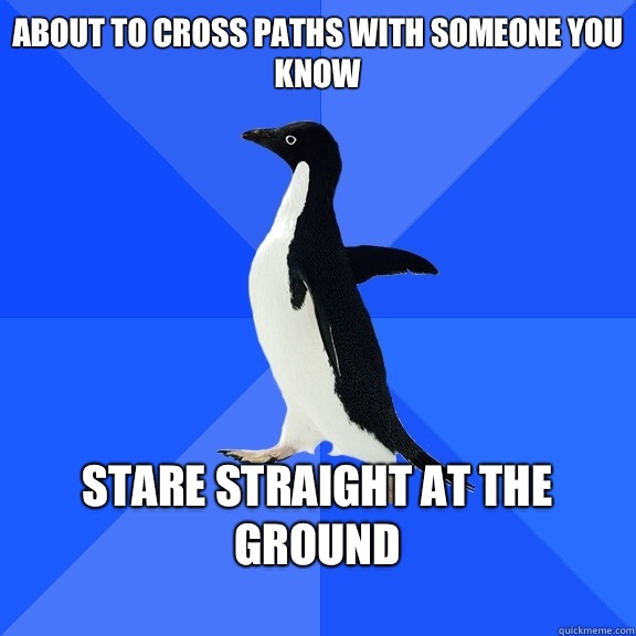 About to cross paths with someone you know  Stare straight at the ground   Socially Awkward Penguin