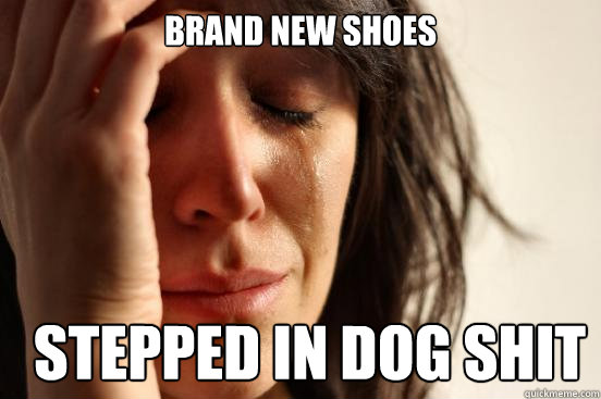 brand new shoes stepped in dog shit - brand new shoes stepped in dog shit  First World Problems