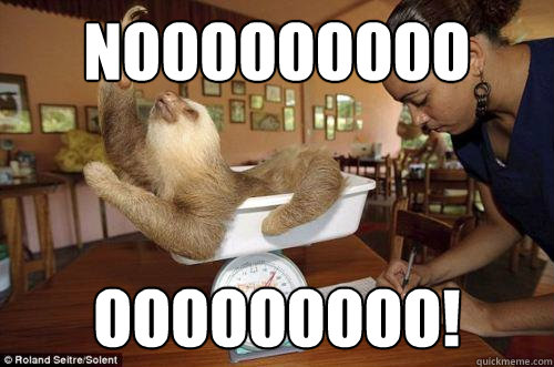 NOOOOOOOOO OOOOOOOOO! - NOOOOOOOOO OOOOOOOOO!  Dramatic Sloth