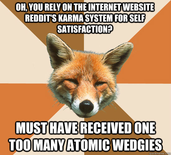 oh, you rely on the internet website reddit's karma system for self satisfaction? must have received one too many atomic wedgies  Condescending Fox