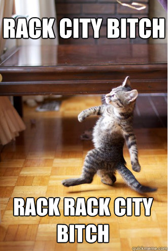 Rack City Bitch rack rack city bitch   Pimp Strut Cat