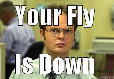 YOUR FLY IS DOWN Schrute
