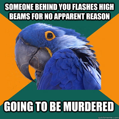 Someone behind you flashes high beams for no apparent reason going to be murdered - Someone behind you flashes high beams for no apparent reason going to be murdered  Paranoid Parrot