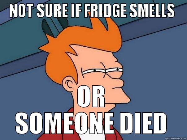 FRIDGE SMELL - NOT SURE IF FRIDGE SMELLS OR SOMEONE DIED Futurama Fry
