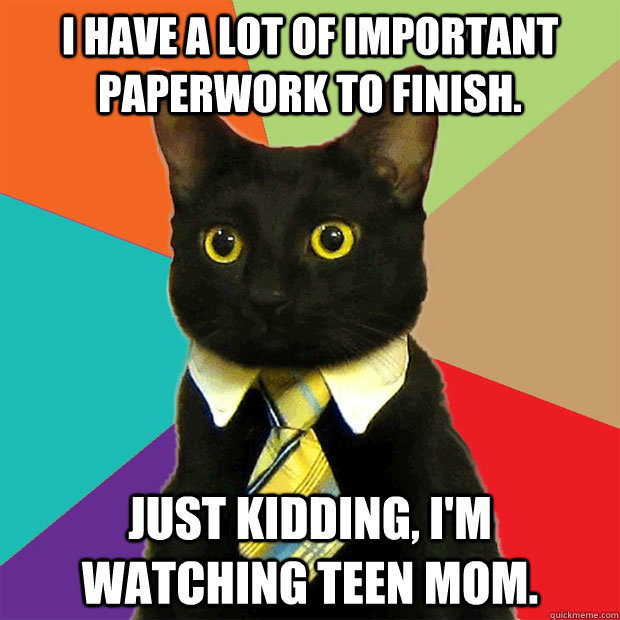 I Have a lot of important paperwork to finish. just kidding, I'm watching teen mom.  Business Cat