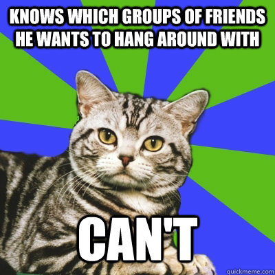 knows which groups of friends he wants to hang around with can't - knows which groups of friends he wants to hang around with can't  Introvert Cat