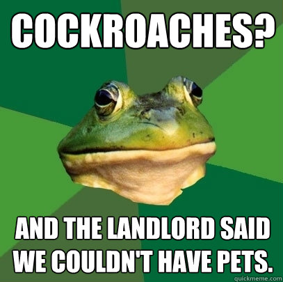 Cockroaches? And the landlord said we couldn't have pets.  - Cockroaches? And the landlord said we couldn't have pets.   Foul Bachelor Frog