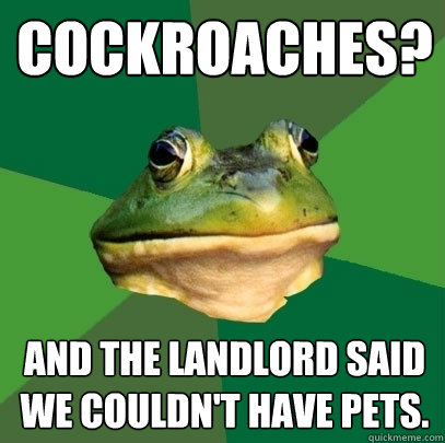 Cockroaches? And the landlord said we couldn't have pets.   Foul Bachelor Frog