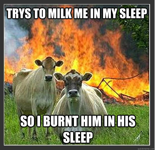 trys to milk me in my sleep  so i burnt him in his sleep    Evil cows