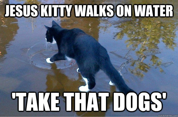 jesus kitty walks on water 'take that dogs'  Jesus Cat