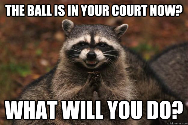 The Ball is in your court now? what will you do? - The Ball is in your court now? what will you do?  Evil Plotting Raccoon