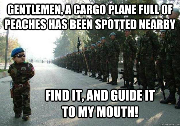 Gentlemen, a cargo plane full of peaches has been spotted nearby Find it, and guide it to my mouth!  Army child