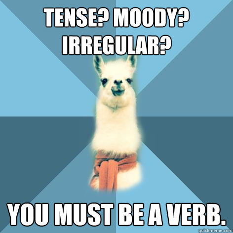 Tense? moody? irregular? you must be a verb.  Linguist Llama