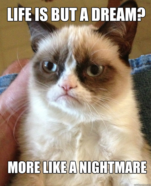 life is but a dream? more like a nightmare - life is but a dream? more like a nightmare  Grumpy Cat